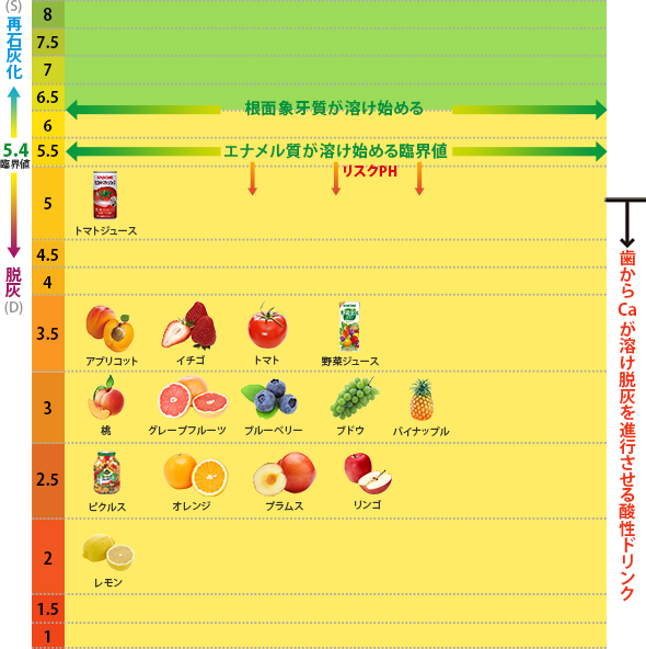 果物や野菜は酸性度が高い傾向にあります