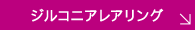 ジルコニアレアリング